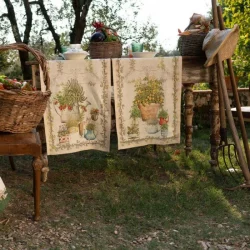 Runner Piante Mediterranee