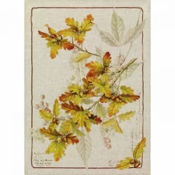 Tovagliette Autunno 2